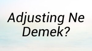 Adjusting Ne Demek?