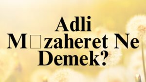 Adli Müzaheret Ne Demek?