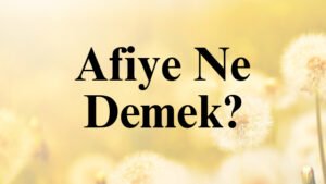 Afiye Ne Demek?