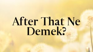 After That Ne Demek?