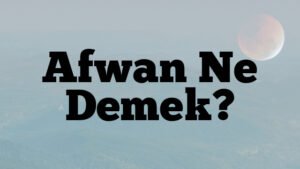 Afwan Ne Demek?