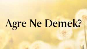 Agre Ne Demek?
