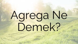 Agrega Ne Demek?