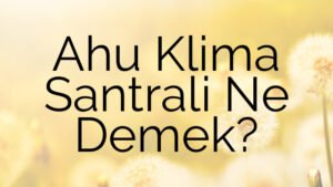 Ahu Klima Santrali Ne Demek?