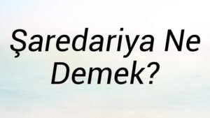 Şaredariya Ne Demek?