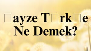 Şayze Türkçe Ne Demek?