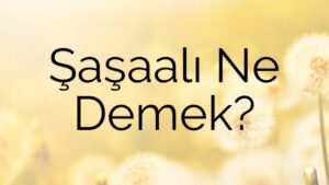 Şaşaalı Ne Demek?