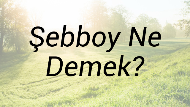 Şebboy Ne Demek?