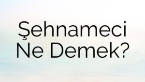 Şehnameci Ne Demek?