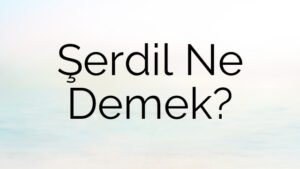 Şerdil Ne Demek?