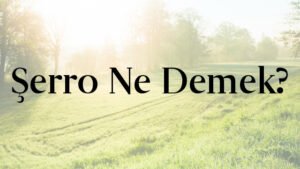 Şerro Ne Demek?