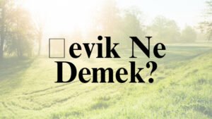 Şevik Ne Demek?