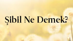 Şibil Ne Demek?