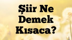 Şiir Ne Demek Kısaca?