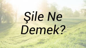Şile Ne Demek?