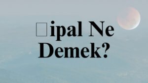 Şipal Ne Demek?