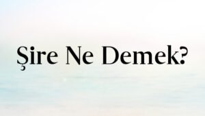 Şire Ne Demek?