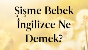 Şişme Bebek İngilizce Ne Demek?