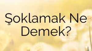 Şoklamak Ne Demek?