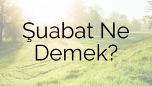 Şuabat Ne Demek?