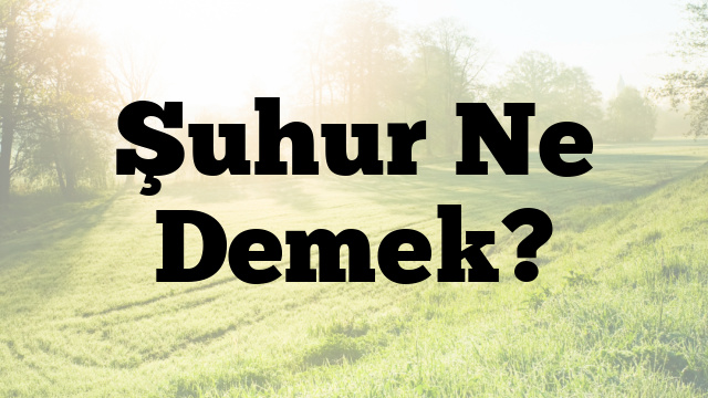 Şuhur Ne Demek?