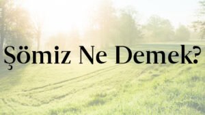 Şömiz Ne Demek?