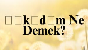 Şıkıdım Ne Demek?