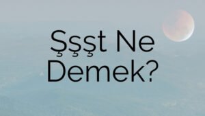 Şşşt Ne Demek?