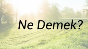 الو Ne Demek?