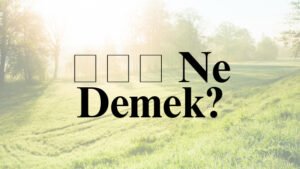 هلا Ne Demek?